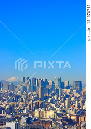 東京都新宿区、富士山と新宿副都心超高層ビル郡の風景 134670715