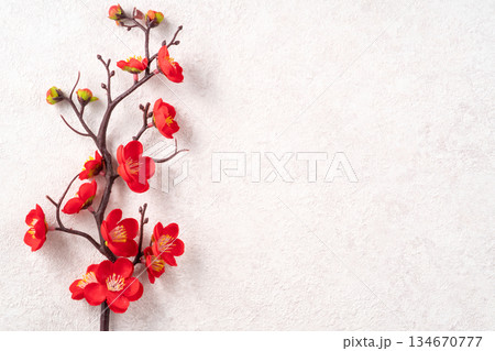 春節 中国正月 中国新年 134670777