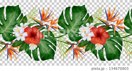 Tropical Flowers and Leaves Seamless Border 134670803