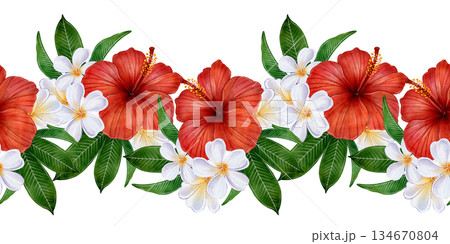 Tropical Hibiscus Seamless Border Tropical Hibiscus Seamless Border 134670804