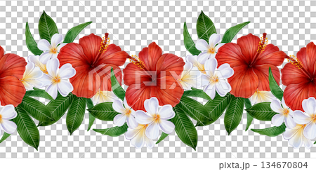 Tropical Hibiscus Seamless Border Tropical Hibiscus Seamless Border 134670804