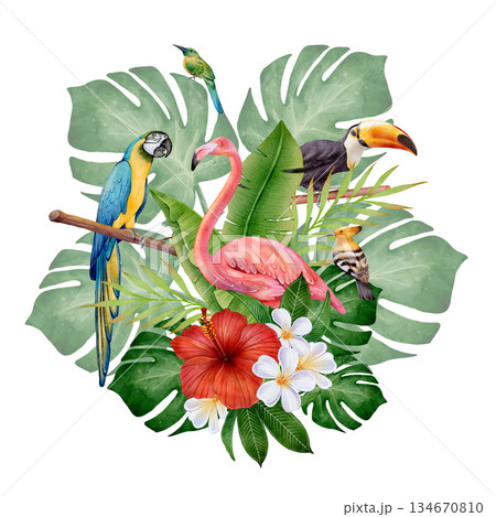 Watercolor Tropical Birds 134670810