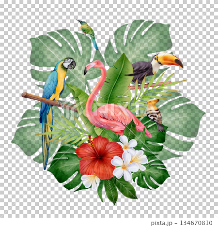 Watercolor Tropical Birds 134670810