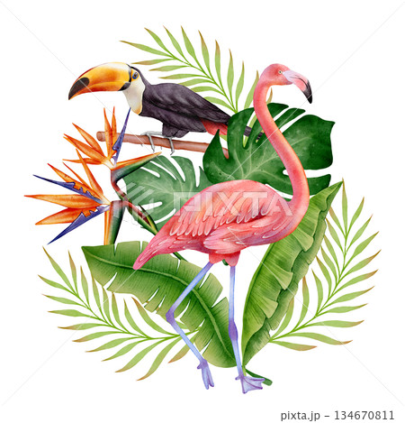 Watercolor Flamingo and Toucan Tropical 134670811