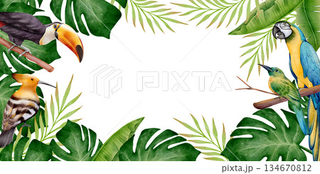 Tropical Frame with Exotic Birds Watercolor Tropical Frame with Exotic Birds Watercolor 134670812