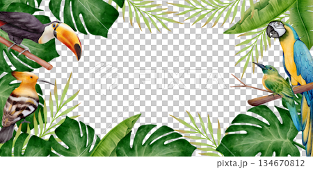 Tropical Frame with Exotic Birds Watercolor Tropical Frame with Exotic Birds Watercolor 134670812