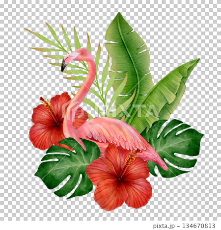 Flamingo Watercolor Bouquet Flamingo Watercolor Bouquet 134670813
