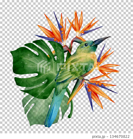 Watercolor Tropical Bird Flowers 134670822