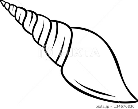 Sketch style seashell in simple black and white line art, doodle illustration of underwater marine life. Minimalist design for nautical and beach themes 134670830