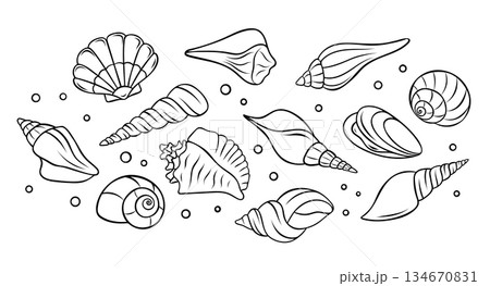 vector set collection of various seashells and underwater marine life depicted as simple black and white icons. Monochrome outline style for aquatic themes 134670831