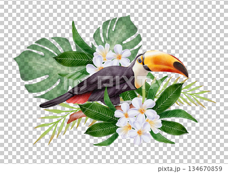 Watercolor Toucan with Tropical Leaves 134670859