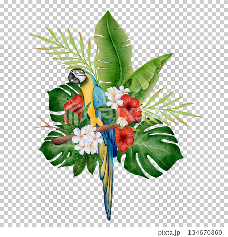 Watercolor Tropical Parrot 134670860