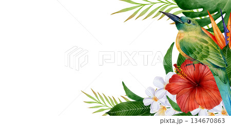 Tropical Bird Hibiscus Leaves Banner Frame 134670863