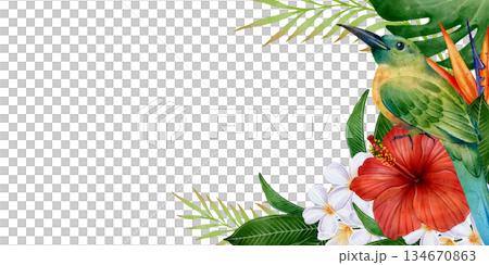 Tropical Bird Hibiscus Leaves Banner Frame 134670863