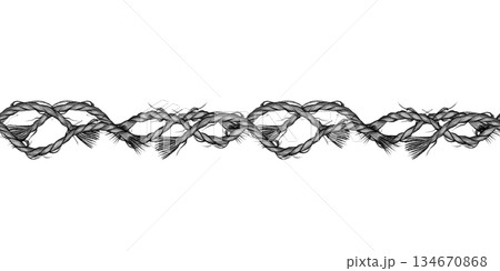 wisted Rope Nautical Border 134670868
