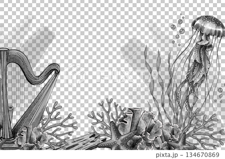 Black and white harp jellyfish frame 134670869