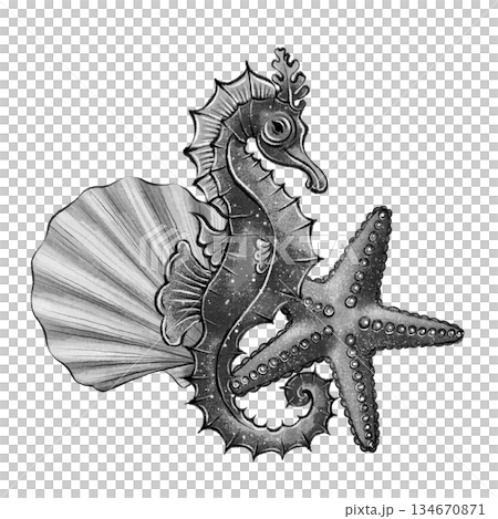 Black and white seahorse composition Black and white seahorse composition 134670871