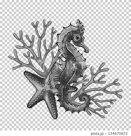 Black and white seahorse coral starfish Black and white seahorse coral starfish 134670872