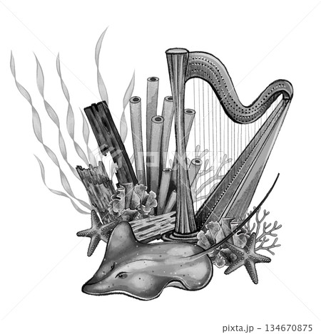 Harp and stingray underwater composition Harp and stingray underwater composition 134670875