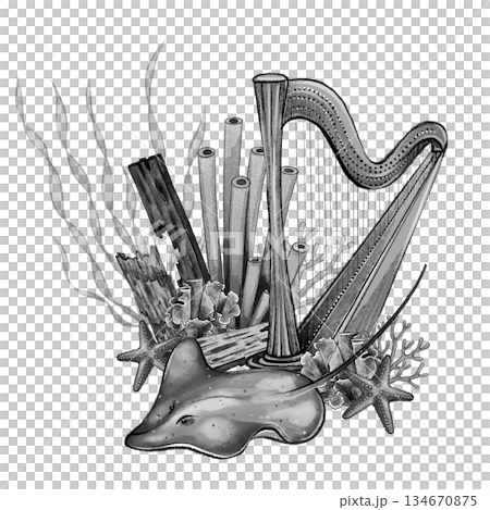 Harp and stingray underwater composition Harp and stingray underwater composition 134670875