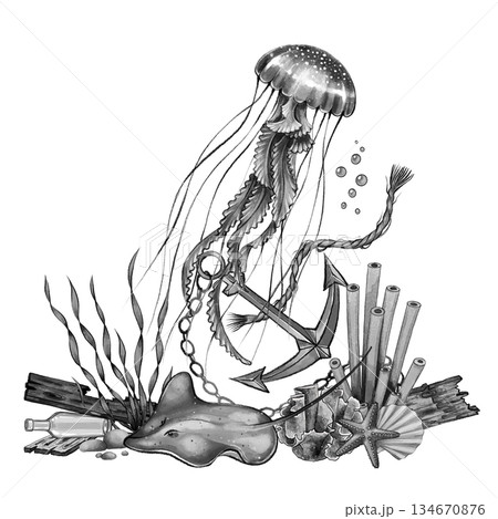 Jellyfish and anchor underwater art 134670876