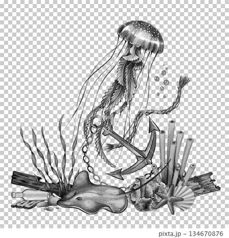 Jellyfish and anchor underwater art 134670876