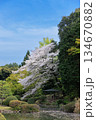 桜のある風景 134670882