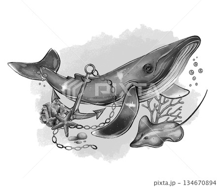 Black and white whale with anchor and stingray 134670894