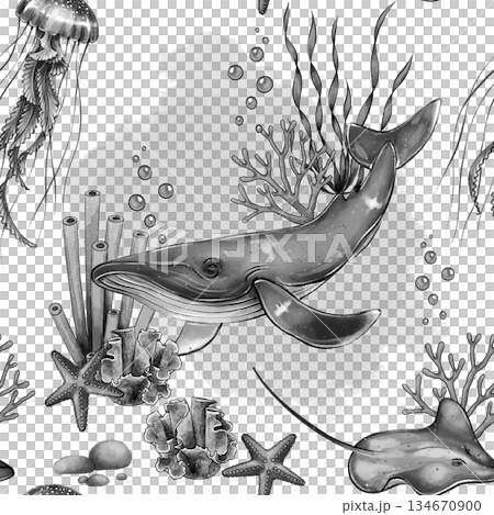 Black and white whale seamless pattern 134670900