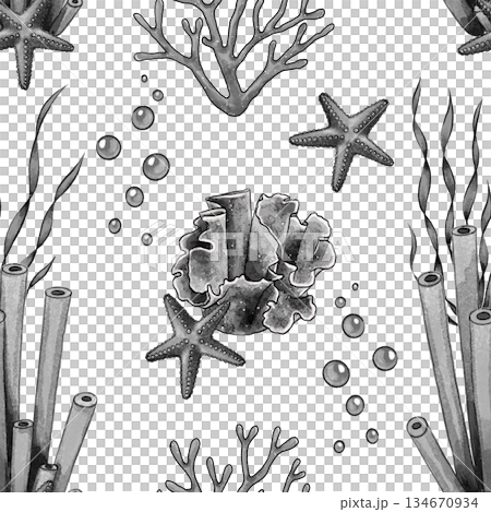 Black and white coral seamless pattern 134670934