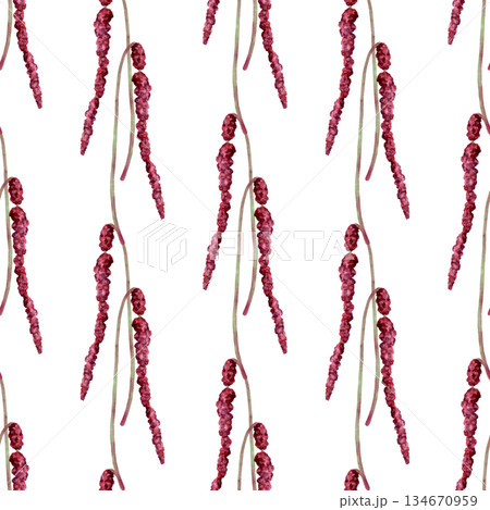 Watercolor amaranth seamless pattern 134670959