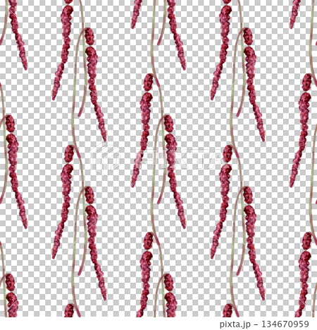 Watercolor amaranth seamless pattern 134670959