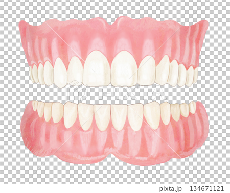 Dentures illustration - 2 134671121