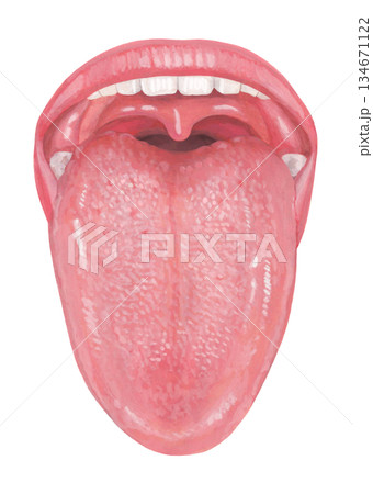 人の舌のイラスト 134671122
