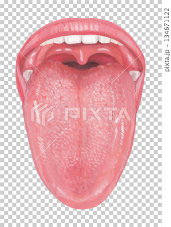 人の舌のイラスト 134671122