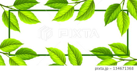 Frame with leaves. Spring or summer stylized foliage. 134671368