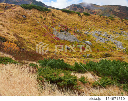 秋の観光名所立山黒部アルペンルートの室堂山頂の風景 秋の観光名所立山黒部アルペンルートの室堂山頂の風景 134671810