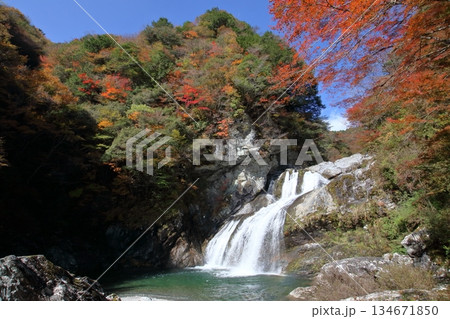 アメガエリの滝を彩る紅葉 (高知県 土佐町 瀬戸川渓谷) アメガエリの滝を彩る紅葉 (高知県 土佐町 瀬戸川渓谷) 134671850