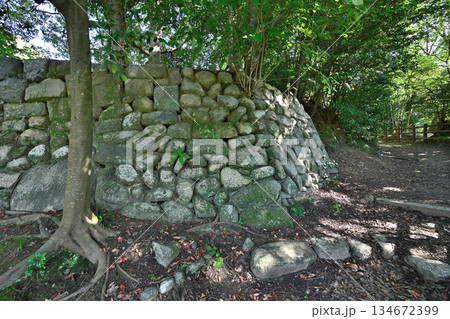 三重県　伊勢国「神戸城」石垣が残る現在の様子 134672399