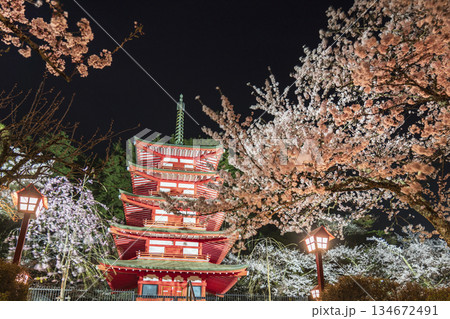 春の新倉山浅間公園の夜景　ライトアップされた忠霊塔と桜【山梨県・富士吉田市】 134672491