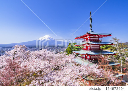 春の新倉山浅間公園の絶景 展望台から富士山、忠霊塔、満開の桜を望む【山梨県・富士吉田市】 春の新倉山浅間公園の絶景 展望台から富士山、忠霊塔、満開の桜を望む【山梨県・富士吉田市】 134672494