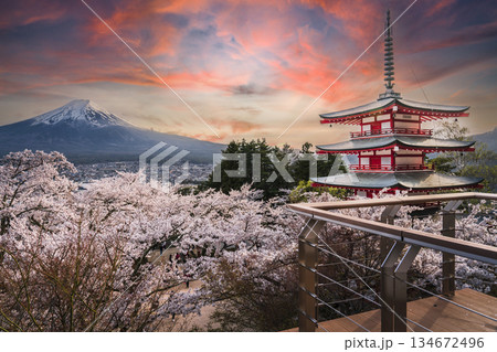 桜咲く新倉山浅間公園の夕景【山梨県・富士吉田市】 桜咲く新倉山浅間公園の夕景【山梨県・富士吉田市】 134672496