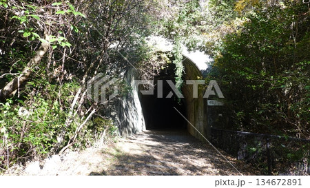 廃線とトンネル 廃線とトンネル 134672891