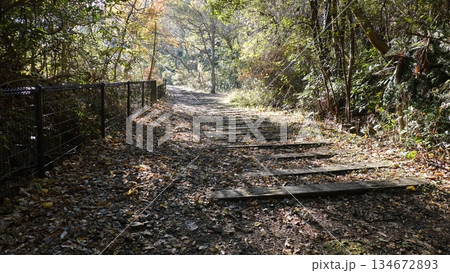 廃線 廃線 134672893