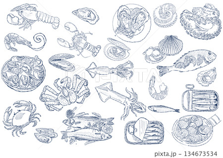 Hand drawn seafood set with fish and shellfish in vintage blue line art 134673534