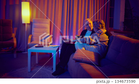 Senior woman using voice assistant on laptop at home. 134673590
