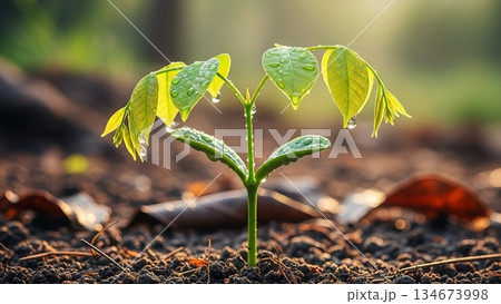 Vibrant 4K AI Healthy Young Tree with Full Green Leaves 134673998