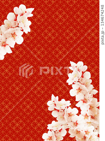 和柄の背景　梅 134674248