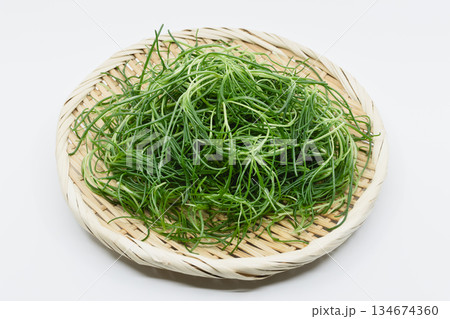 おかひじき 白バック おかひじき 白バック 134674360