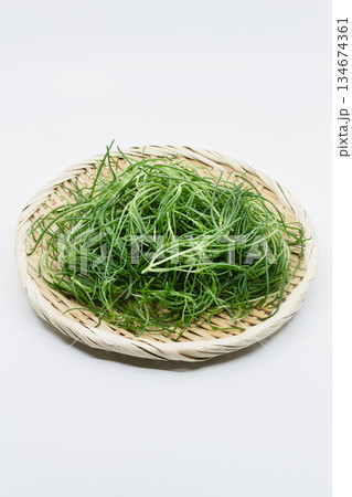 おかひじき　白バック 134674361